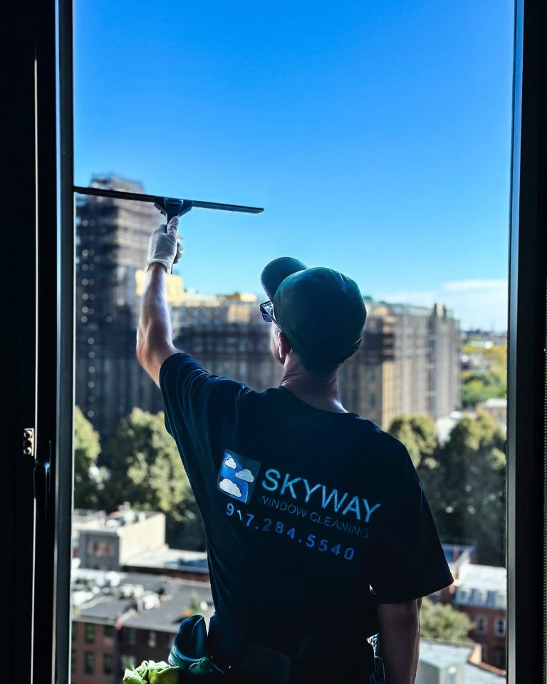 Skyway window cleaner squeegeeing an apartment window above New York rooftops